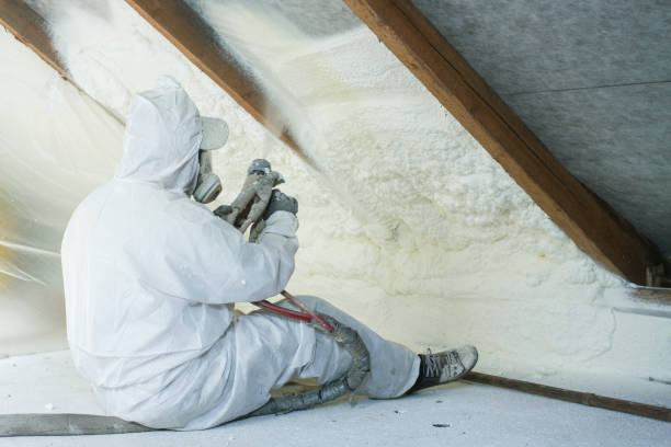 Best Spray Foam Insulation  in Lliams Bay, WI